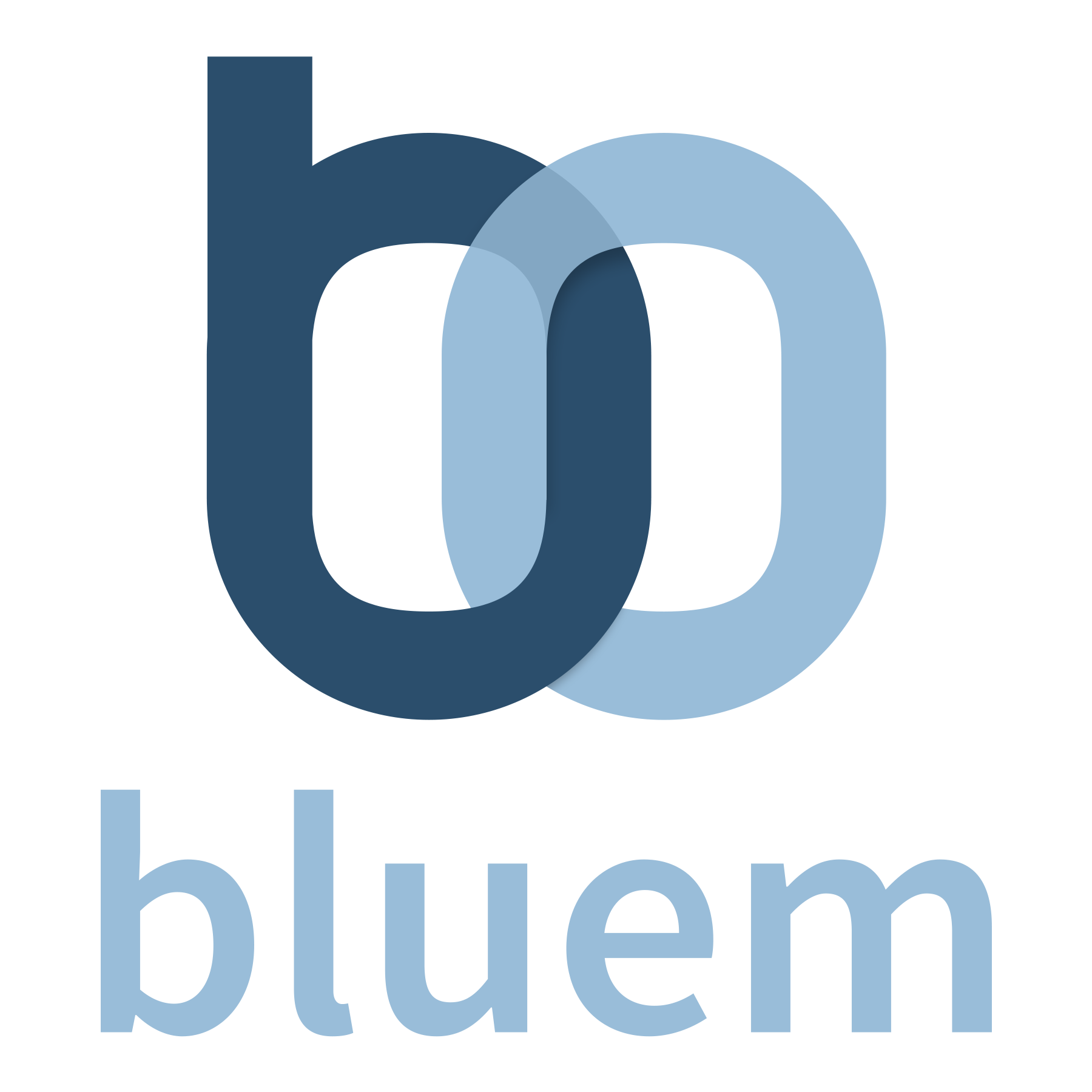 Bluem DB Checker Logo